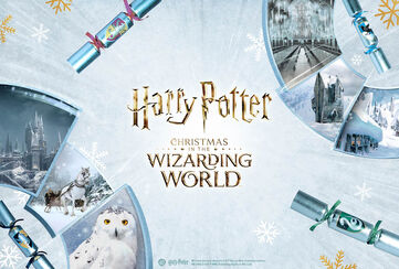 Christmas in the Wizarding World / Opdag nu!