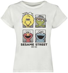 Friends, Sesamstrasse, T-shirt