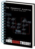 Friendship Algorithm, The Big Bang Theory, Notesbog