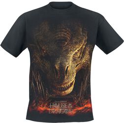 House of the Dragon - Dragon throne, House Of The Dragon, T-shirt