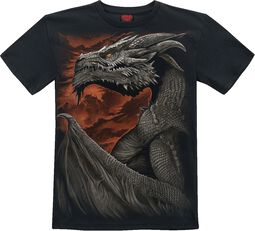 Børn - Majestic Draco, Spiral, T-shirt til børn