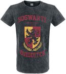 Hogwarts Quidditch, Harry Potter, T-shirt