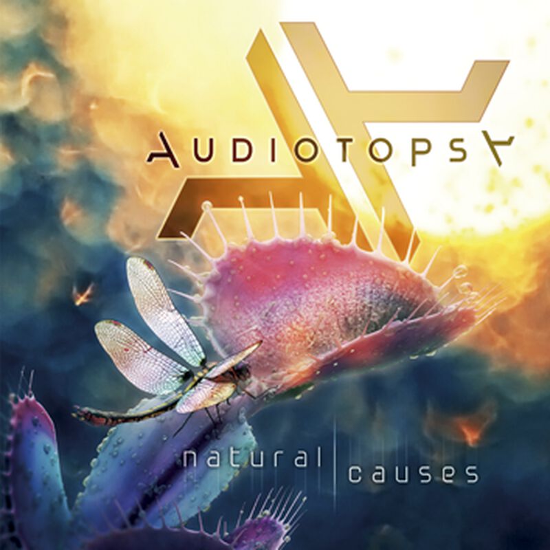 Audiotopsy Natural causes