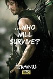 Daryl Dixon - ...who will survive?, The Walking Dead, Plakat