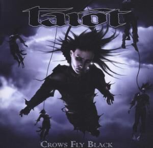 Crows fly black