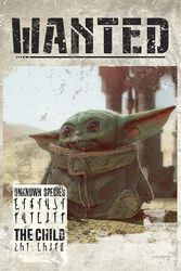 The Mandalorian - Baby Yoda Wanted