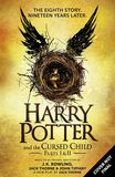Harry Potter and the Cursed Child Parts I & II, Harry Potter, Roman