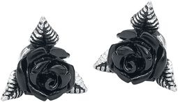 Black Rose, Alchemy Gothic, Øreringe, sæt