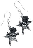 Ruah Vered Droppers, Alchemy Gothic, Ørering