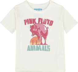 Amplified Collection - Kids - Animal Balloon, Pink Floyd, T-shirt til børn