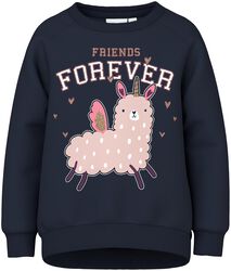 Venus LS jumper - Friends Forever, name it, Sweatshirt til børn