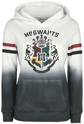 Hogwarts, Harry Potter, Hættetrøje