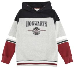 Børn - Hogwarts - England Made, Harry Potter, Hættetrøje til børn