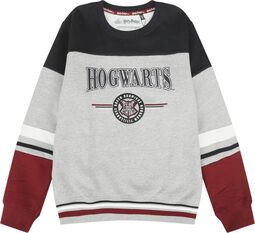 Børn - Hogwarts - England Made, Harry Potter, Sweatshirt til børn
